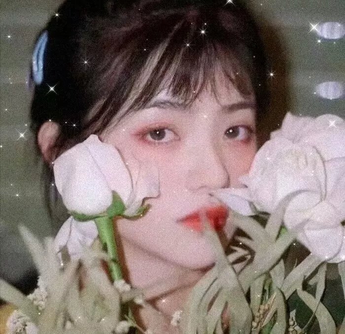 骑警